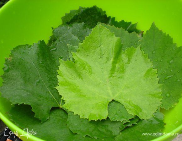 Виноградные листья промываем, вырезаем жесткую ножку.