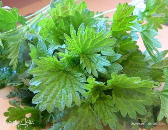 Молодую крапиву нарвать и обдать кипятком. Не забыть надеть перчатки. Оборвать листочки и мелко нарезать.