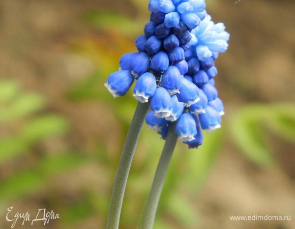  Теплой и солнечной весны!