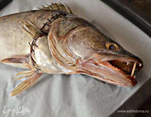 В пасть судака вставить зубочистки, чтобы зафиксировать её открытой.