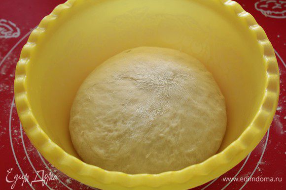 Переложить тесто в смазанную маслом чашку, накрыть пленкой и поставить в теплое место на 30 минут. Тесто увеличится вдвое.