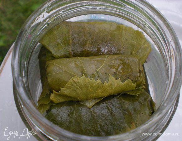 Наполняем виноградными конвертиками пол литровую банку, добавляем соль и уксус и заливаем кипящей водой. Укупориваем банку простерилизованной крышкой и храним, как обычную консервацию. 