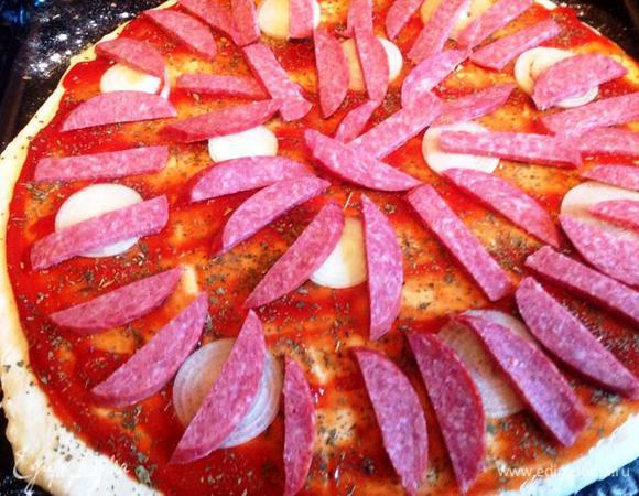 Поверх кетчупа - кольцами сладкий салатный лук, поверх лука - порезанная салями. 