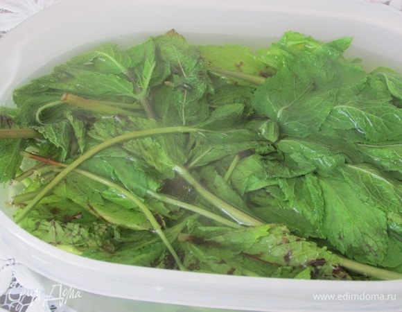 Для получения мятного мороженого, пучок мяты хорошо промыть под водой, и опустить его в кипяток на 20 секунд.