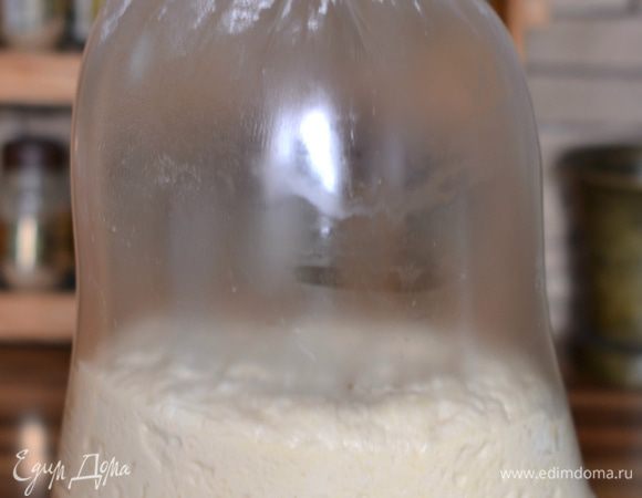 Дрожжи перетереть с солью, добавить теплую сыворотку и сахар, размешать. Масло сливочное распустить (в микроволновке), добавить к основной массе. Смешать. Влить смесь в хлебопечку. Добавить просеянную муку и включить режим "Тесто". Если делаете руками, то выполнять все в той же последовательности. Муку добавлять в несколько приемов. Сначала мешаем ложкой, потом руками. Тесто замешивается быстро - становится очень эластичным, мягким, но не тяжелым. Лучше потом, перед разделкой  добавить еще муки. Вынуть тесто из чаши хлебопечки. Переложить в целофановый пакет и убрать в холодильник на 4 часа. Так выглядело тесто спустя сутки хранения в холодильнике.