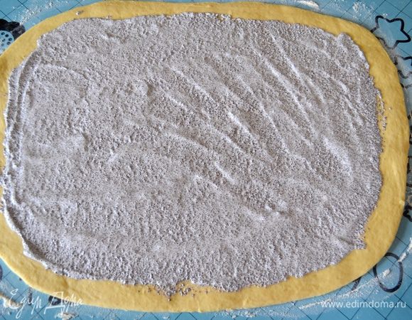 По всей поверхности теста распределить маковую начинку и разровнять.