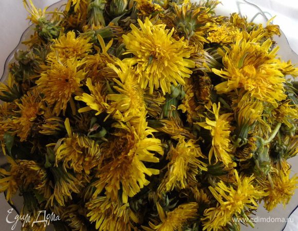 Собрать цветочки одуванчиков при солнечном свете, когда они открыты.