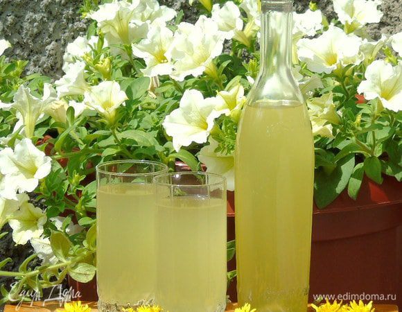 Когда процесс брожения закончится, жидкость разлить по стеклянным бутылкам, закрыть пробкой и поместить в темное место на 4 - 6 месяцев.
 
Вино из одуванчиков - напиток редкий, им вы сможете удивить своих друзей и близких. Чем дольше он будет выдержан, тем изысканнее вкус.
Попробовать конечно же можно через несколько недель, после окончания брожения, но все же лучше  дать вину настояться, тогда цвет будет светло-янтарный, а вкус будет тоньше. Наливайте и угощайтесь или угощайте)))