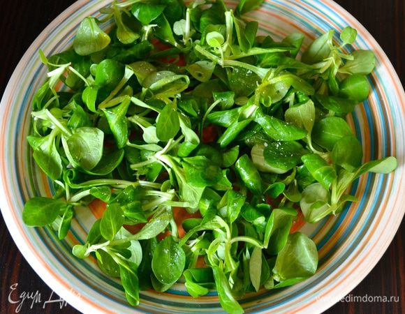 Листья салат вымыть и обсушить. Выложить на сервировочное блюдо.