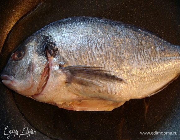 Дораду почистить, промыть и обсушить. В сковороду налить оливковое масло и положить рыбу.