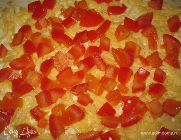 Затем мелко порезанные помидоры.
