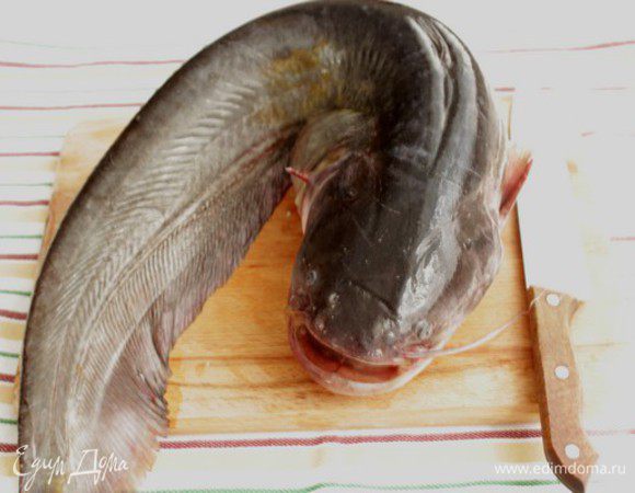 В это время берем сома.