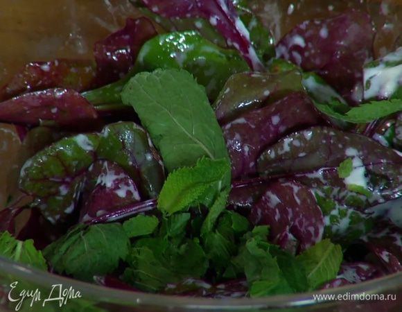 Приготовить салат: свекольные листья поместить в глубокую посуду, смазать 1 ст. ложкой сметанного соуса, сбрызнуть оливковым маслом, полить оставшимся лимонным соком и все перемешать. Листья мяты, базилика и кинзы слегка порвать и посыпать салат.
