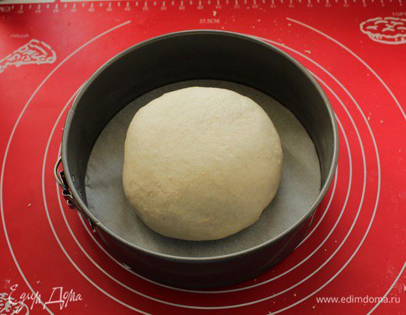 Придаем тесту круглую форму и перекладываем его в форму, смазанную растительным маслом или застеленную бумагой для выпечки. Накрываем полотенцем и оставляем на 30-50 минут в теплом месте.