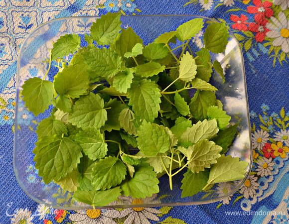 Мяту разобрать на листики, помыть и обсушить их.