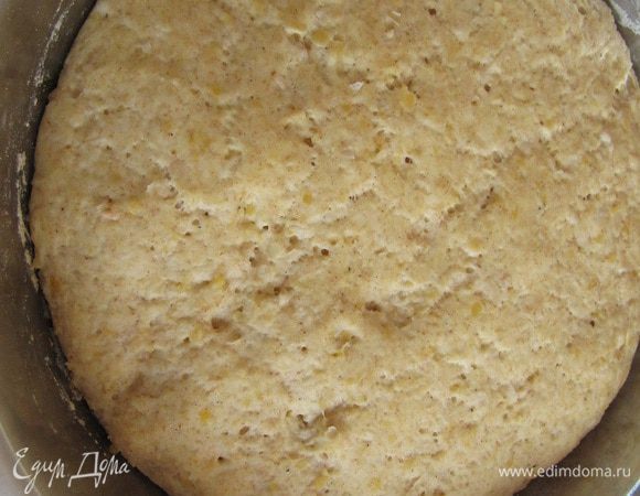 Накройте тесто полотенцем и поставьте в теплое место подходить. Примерно на 1 час.