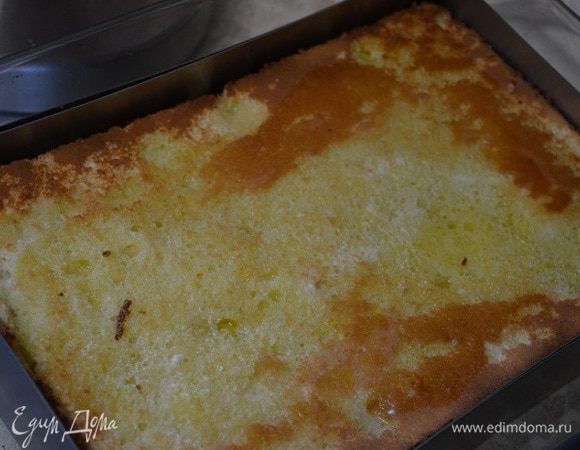 Первая часть сборки:

На дно рамки 18 см положить первый бисквит и пропитать его сиропом. Выложить шоколадный крем и разровнять. Сверху положить и слегка прижать второй бисквит. Пропитать его сиропом и все убрать в морозилку до тех пор, пока не будет готово желе.