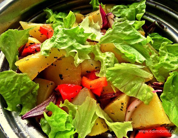 Салатные листья порвать руками и высыпать в самом конце.