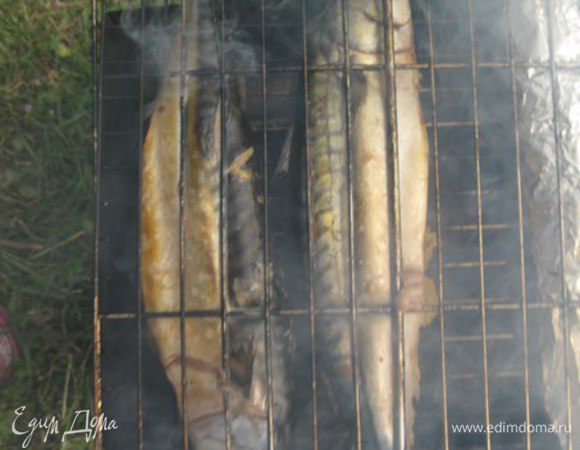 Решетку гриль смазать маслом и томить скумбрию 5-10 минут с каждой стороны. В зависимости от размера рыбы.