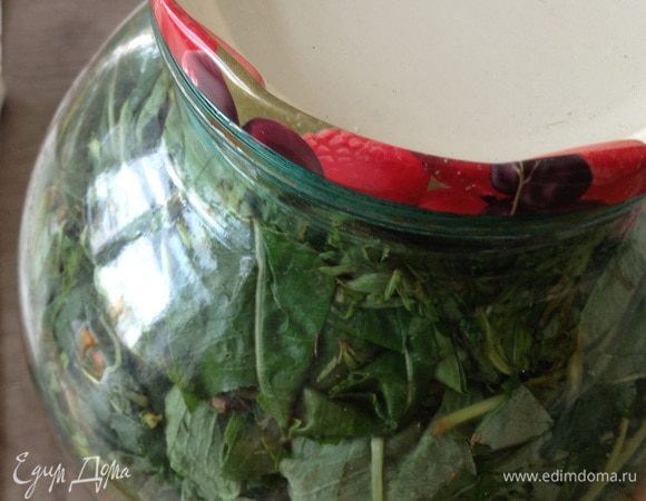 Накрыть тарелкой и убрать на два дня в темное место( для ферментации).