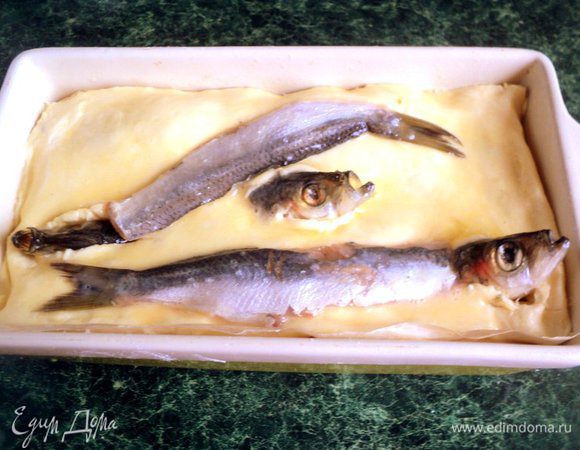 Накрыть пирог вторым пластом теста. Аккуратно защипнуть края, в местах установки голов сделать небольшие надрезы и вынуть их наполовину из теста.  Я сверху положила пару филе для воссоздания картины «засохшего озера с погибшими рыбами». Смазать пирог яйцом.