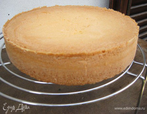 Готовый бисквит остудить на решетке.