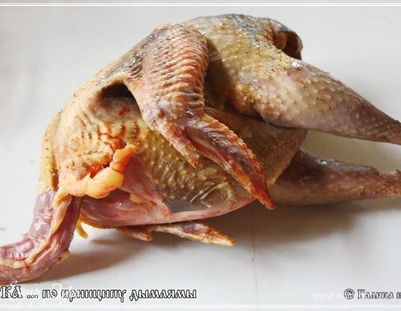 Вот прочитал я фразу в статье про цесарок: «…Разводят цесарок ради высококачественного мяса. Оно не бывает жирным и похоже на мясо дичи. Вкусны и яйца цесарок….» Значит, только мы разводим эту птицу для… сказанного в цитате? А везде, вокруг нас, их разводят для … красоты что ли? Что называется – автор жжет! 
Ну, да и ладно. Итак, цесарка. Вот она какая. Птичка у нас совсем молодая. Поэтому и некрупная. По секрету скажу – это, вообще то, цесарк. Ну, петух цесарочий, другими словами.
