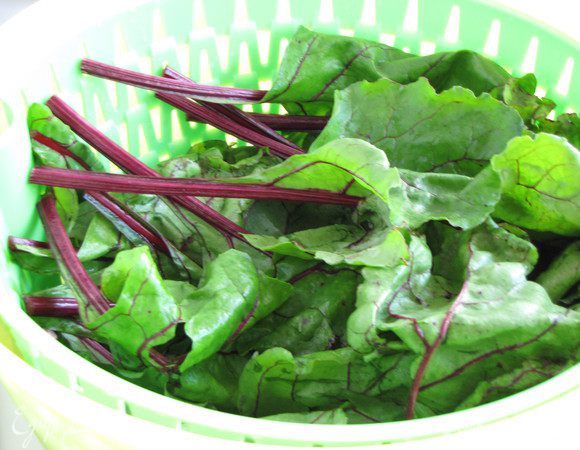 Листья свеклы промыть и просушить.