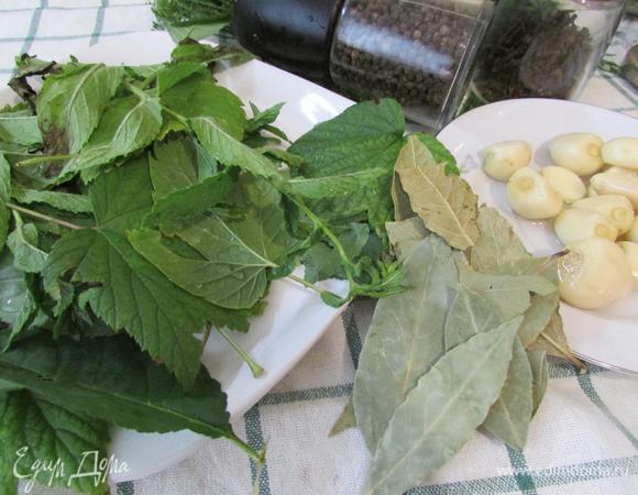 Подготовить специи (у меня листья вишни, смородины, тархун, лавровый лист, перец черный горошком, перец душистый, чеснок, кориандр). Специи можно брать по вкусу, но вот листья смородины и вишни обязательны в этом рецепте.