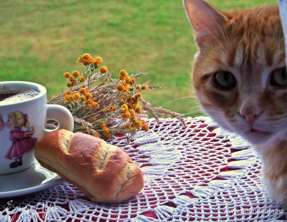 А это киноляп... то, что осталось "за кадром"!