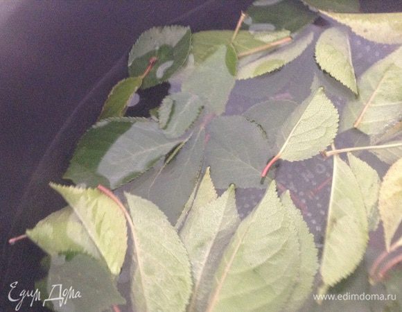 В кастрюлю налить 5 стаканов воды, лимонную кислоту и листья, вскипятить. Варить 5 минут. Воду процедить.