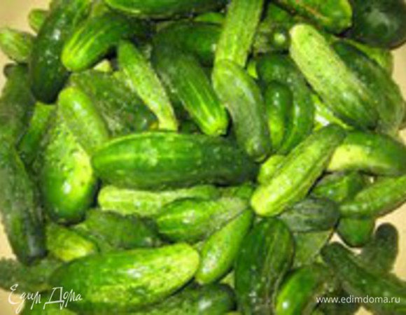 Перебрать и помыть огурцы. У больших огурцов отрезаем кончики.