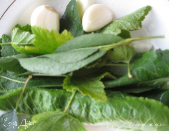 Почистить чеснок. Помыть свежие листья вишни, смородины (или хрена).