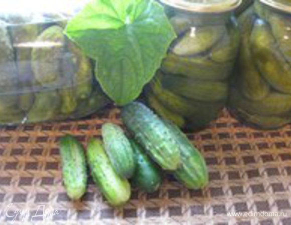 Летом один день, всю зиму кормит.
Приятного аппетита!