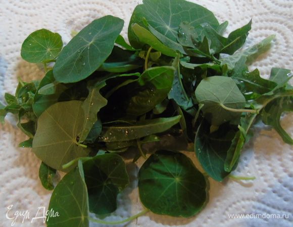 Зелень салата и листья настурции вымыть и обсушить на бумажном полотенце.