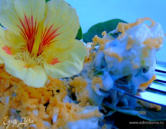 Выложить горкой, сверху натереть яйцо и подавать. Очень вкусно! Приятного аппетита!