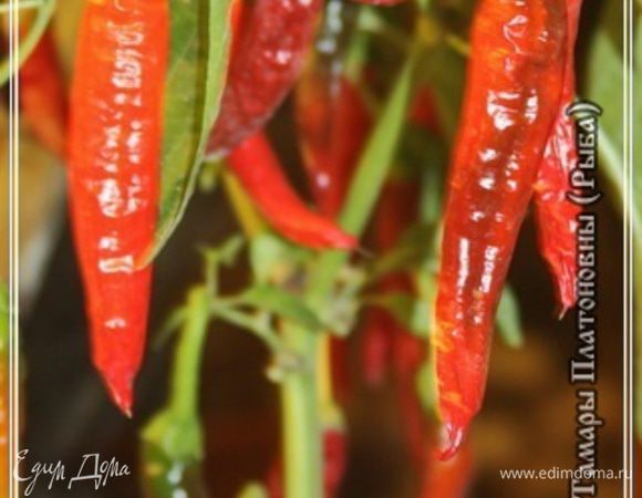 А по–поводу остроты харчёвой, так на то на подоконнике, в горшке перец растет, острый он, жгучий. Хоть и ароматный. Любому в тарелку вольно добавить столько, сколько организм выдержит.