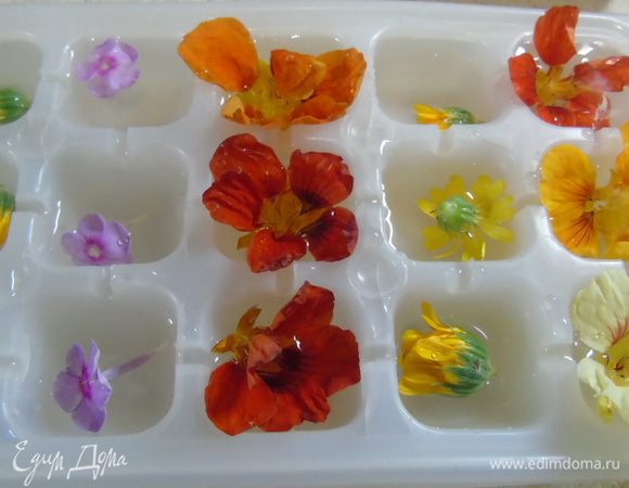 Вначале приготовим лед. В емкость для льда выложить цветы и залить до половины минеральной водой без газа. Отправить в морозилку, через некоторое время, когда лед схватится, долить воду чтоб она покрыла цветы.