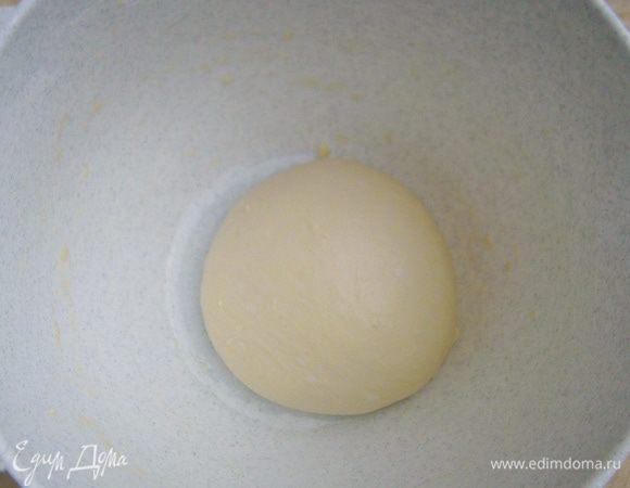Тщательно вымешанное тесто скатать в шар и выложить в смазанную растительным маслом миску.