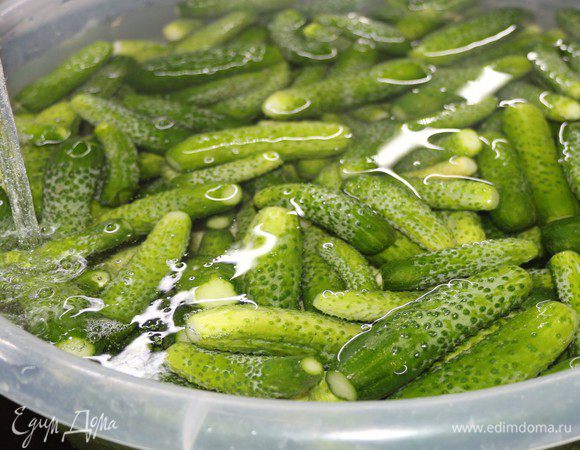 Огурцы вымыть, срезать кончики на 1–2 мм. Замочить на 3–4 часа в холодной воде.