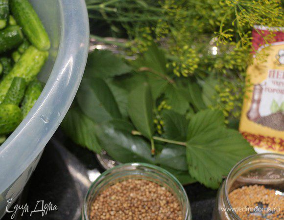 На дно стерилизованных банок уложить листья вишни, смородины (по 2 листочка), веточку укропа с зонтиком и специи для консервирования по маленькой горсточке. У меня были: перец черный горошком, кориандр и горчица.