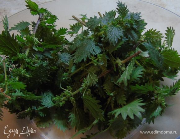 Аккуратненько собираем нашу крапиву, только молоденькую. Лучше это делать в перчатках :)