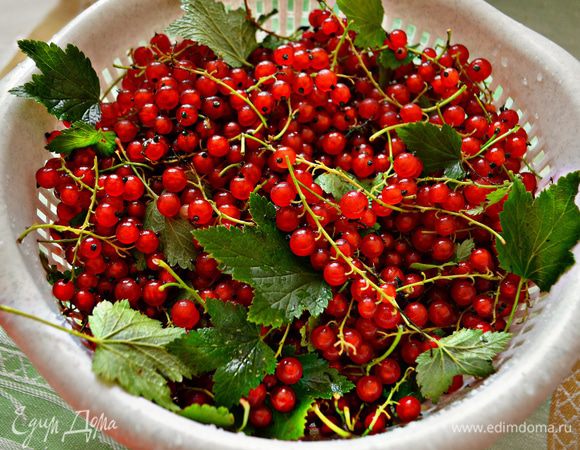 Переберите ягоды смородины, очистив их от веточек, листьев и мусора. Помойте и дайте стёчь воде.