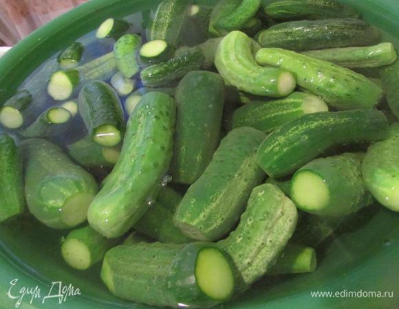 Затем огурчики тщательно помыть, обрезать хвостики с обеих сторон. Выложить в таз и залить кипятком на 20 минут.