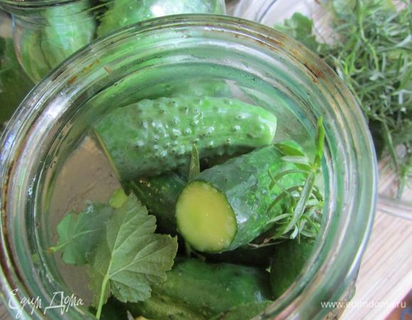 На верх уложить подготовленные огурчики, перекладывая специями и листьями.