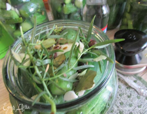 Последний слой - специи и листья. Положить на литровую банку половинку таблетки аспирина. Вскипятить рассол (вода + соль + сахар). Залить им огурчики, добавить 1 ч. л. (можно чуть меньше) уксусной эссенции. Закатать под ключ, хорошо потрясти баночку, чтобы аспирин и специи разошлись по баночке. Укутать в теплое и оставить до полного остывания.