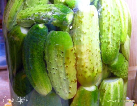 Приготовьте рассол: вскипятите воду (1,3 л) с сахаром и солью. Остудите. Процедите через 3 слоя марли. Свежие огурцы вымойте, обсушите на полотенце. В банку вертикально уложите огурцы, залейте остывшим рассолом. Оставшийся рассол выливать не нужно, он еще пригодится.