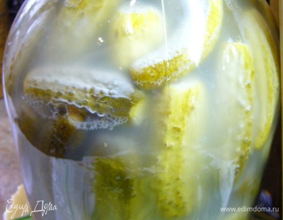 Банку с огурцами поставьте в тарелку, прикройте крышкой и оставьте на 4 дня. За это время будет происходить брожение. Рассол помутнеет, сверху появится пена (ее нужно периодически снимать). Рассол может выливаться из банки, для этого мы и поставили банку на тарелку.