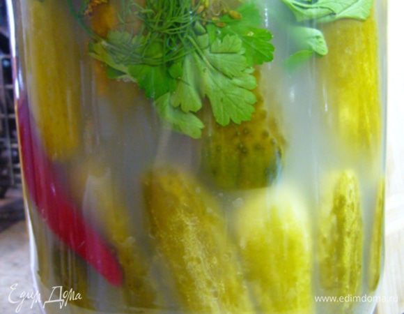 На дно подготовленной банки уложите травы и приправы (так огурцы лучше пропитаются их ароматом), верните в банку огурцы вместе с перцем. Залейте горячим (90°C) рассолом. Банку герметично закройте, переверните вверх дном, укутайте во что-нибудь теплое до полного остывания.