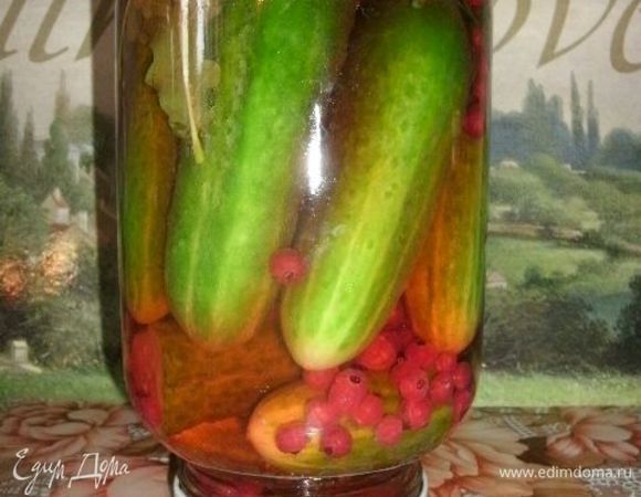 Вскипятить воду, добавить соль и залить огурчики. Банку накрыть крышкой и дать постоять 1-2 минуты. Затем слить из банки рассол, вновь прокипятить его и снова залить в банку с огурцами. Теперь можно закрутить крышку. Банку перевернуть. Так мы убедимся что она герметично закрыта. Остужаем и ставим на хранение.